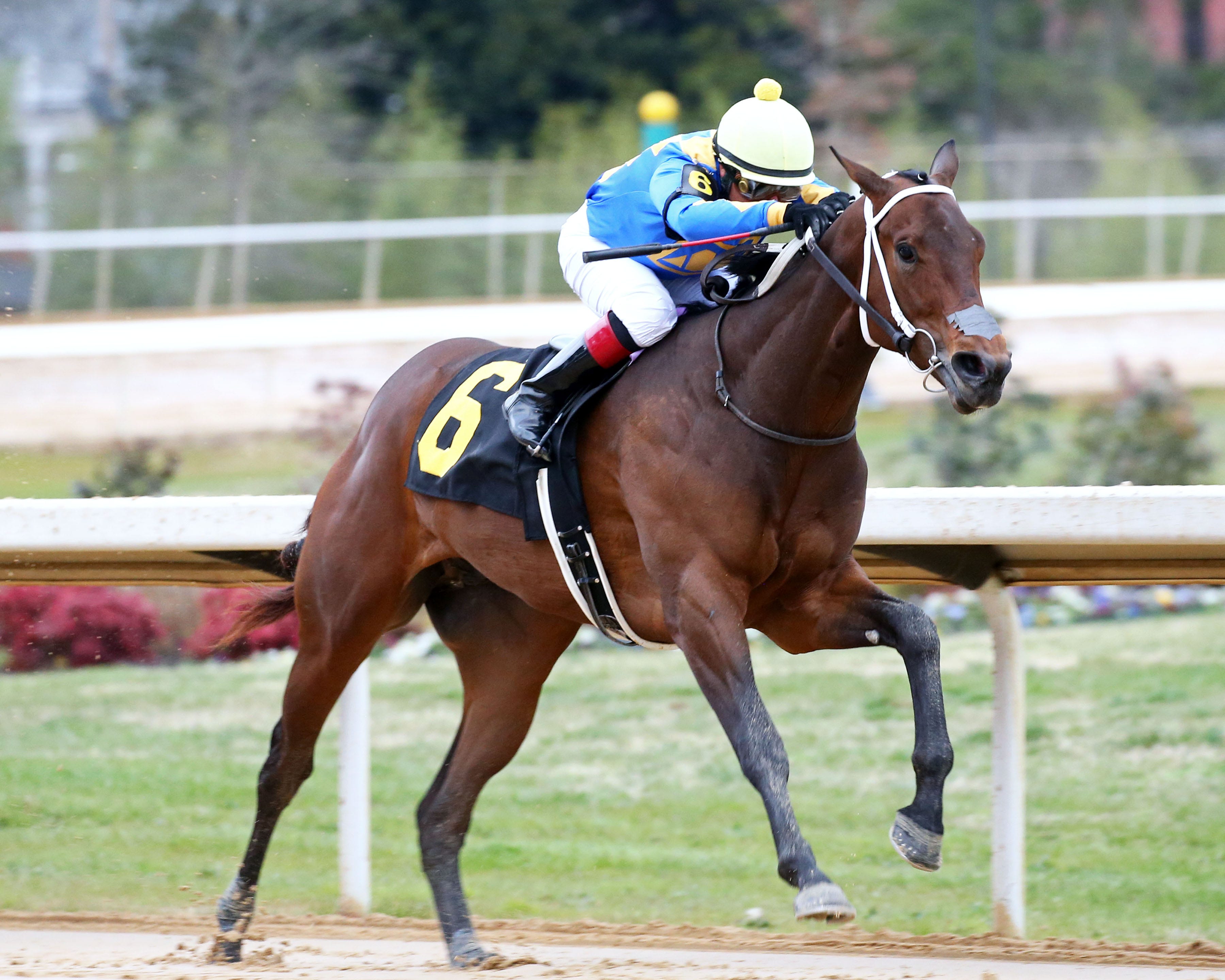 Road to the 2020 Kentucky Derby Smarty Jones analysis